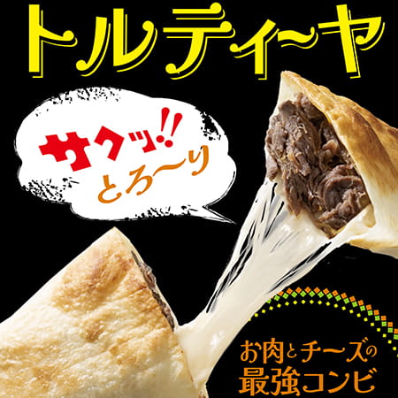山大フーズ揚げ焼きトルティーヤ